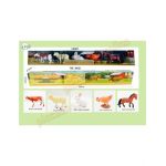 Set 5 figurine animale Engros