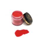 Pudra Dipping Powder 10g NR 43 Oranjollie