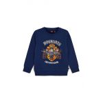 Lego hanorac de bumbac pentru copii x LEGO® Harry Potter culoarea albastru marin, cu imprimeu