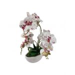 Aranjament orhidee 4 fire in ghiveci de ceramica 45 cm inaltime