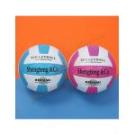 Minge volei 22 cm Engros