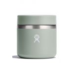 Hydro Flask termos pentru pranz 20 Oz Insulated Food Jar Agave culoarea verde, RF20374