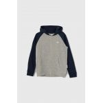Quiksilver bluza copii EASY DAY SOLID culoarea gri, cu glugă, modelator