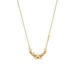 Michael Kors colier din argint placat cu aur