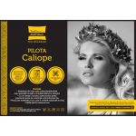 Pilota de iarna matlasata Caliope Somnart, 180x200 cm, policotton imprimat, sezon rece, 400 g/mp