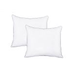 Set 2 Perne Somnart Naturo din pene de gasca, 70x70, moale