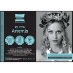 Pilota de iarna matlasata Artemis Somnart, 150x200 cm, policotton imprimat, sezon rece, 400 g/mp