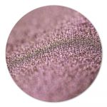 Pigment make-up Mauve Pearl