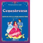 Cenusareasa. Carte de citit cu litere mari de tipar (format B5)