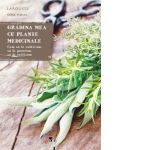 Gradina mea cu plante medicinale