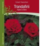 Trandafirii: ingrijire si taiere