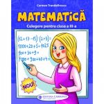 Matematica. Culegere pentru clasa a III-a