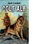 Colt Alb