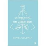 Ce inseamna sa fii un lider bun. De ce este importanta inteligenta emotionala - Daniel Goleman