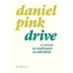 Drive. Ce anume ne motiveaza cu adevarat - Daniel Pink