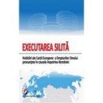 Executarea Silita. Hotarari ale Curtii Europene a Drepturilor Omului pronuntate impotriva Romaniei - Vasile Bozesan
