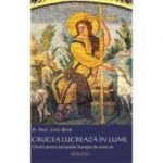 Crucea lucreaza in lume. Omilii pentru perioadele liturgice de peste an - Pr. John Behr