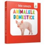 Animalele domestice. Bebe Cunoaste