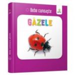 Gazele. Bebe Cunoaste