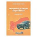 Culegere de probleme de geometrie pentru liceu - Gheorghe Adalbert Schneider