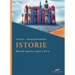 Istorie. Manual pentru clasa a 7-a - Stan Stoica, Dragos Becheru