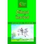 Calutul inaripat - Stephen Sander