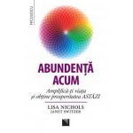Abundenta acum - Lisa Nichols, Janet Switzer