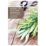Gradina mea cu plante medicinale - Serge Schall