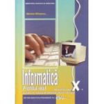 Manual informatica clasa a 10-a. Real, intensiv informatica - Mariana Milosescu