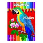 Colorez: Pasari