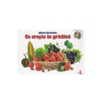 Ce creste in gradina - Silvia Ursache
