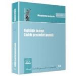 Nulitatile in noul Cod de procedura penala - Magdalena Iordache