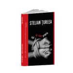 Esti pe cont propriu - Stelian Turlea