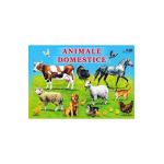 Animale domestice