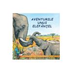 Aventurile unui elefantel - Sa cunoastem lumea inconjuratoare!