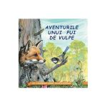 Aventurile unui pui de vulpe - Sa cunoastem lumea inconjuratoare!
