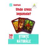 Unde cresc legumele? 3 ani+ (Eduflash)