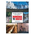 Romania, te iubesc! - Paul Angelescu, Alex Dima, Paula Herlo, Rares Nastase, Cosmin Savu
