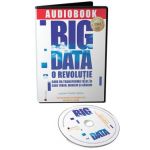 Audiobook. Big Data - Viktor Mayer-Schonberger, Kenneth Cukier