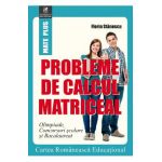 Probleme de calcul matriceal - Florin Stanescu