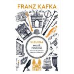Vizuina. Proza postuma - Franz Kafka