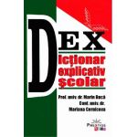 Dictionar explicativ scolar - Marin Buca, Mariana Cernicova