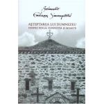 Asteptarea lui Dumnezeu. Despre boala, suferinta si moarte - Emilianos Simonopetritul