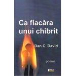 Ca flacara unui chibrit - Dan C. David