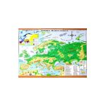 Harta de perete - Europa. Harta Fizica + Harta Politica