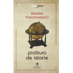Picatura de istorie - Razvan Theodorescu