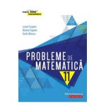 Probleme de matematica. Consolidare - Clasa 11 - Lucian Dragomir