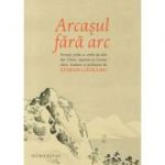 Arcasul fara arc - Stefan Liiceanu