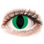 Lentile de contact colorate CRAZY LENS - Cat Eye Green - lentile zilnice fără dioptrie (2 lentile)