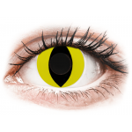 Lentile de contact colorate CRAZY LENS - Cat Eye Yellow - lentile zilnice fără dioptrie (2 lentile)